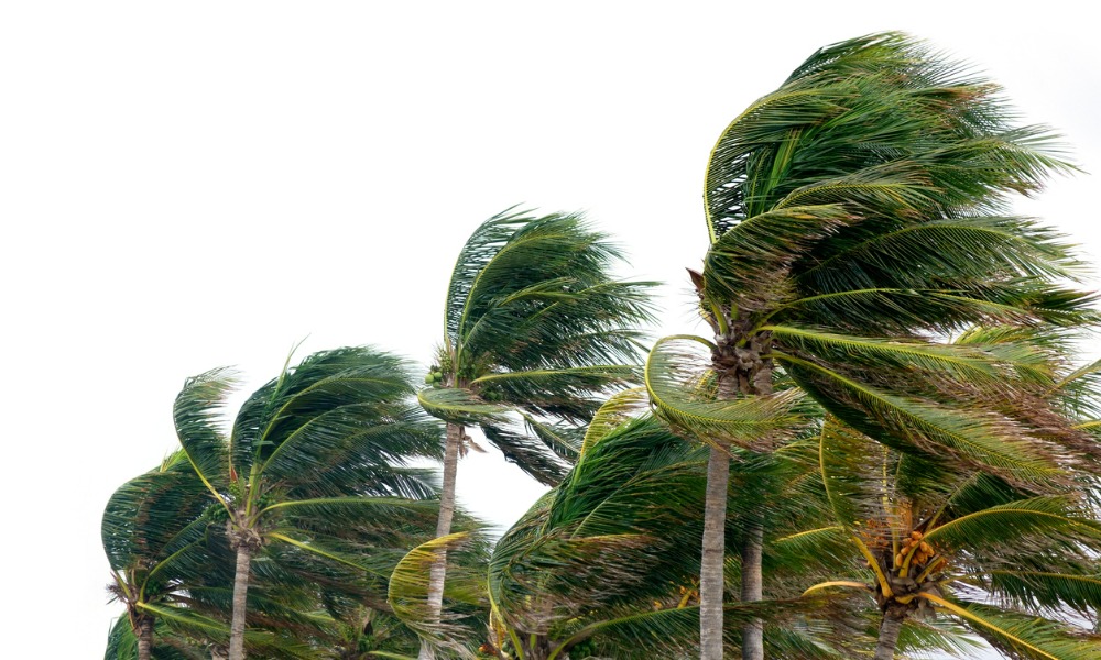 Swiss Re talks about the wild hurricane season and the impact of